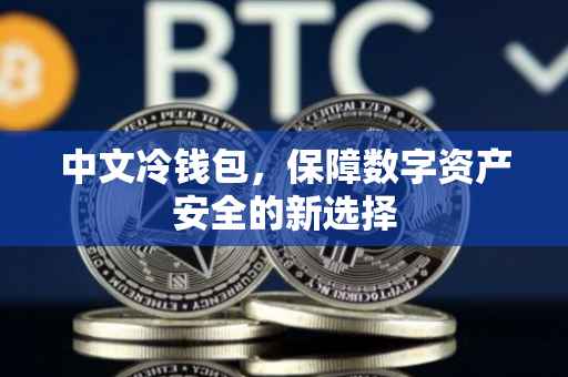 中文冷钱包，保障数字资产安全的新选择