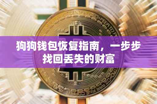 狗狗钱包恢复指南，一步步找回丢失的财富