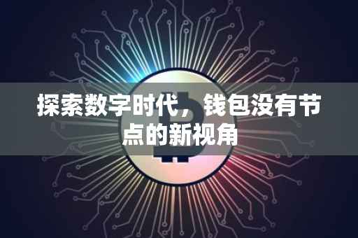 探索数字时代，钱包没有节点的新视角