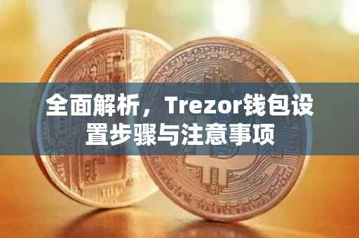 全面解析，Trezor钱包设置步骤与注意事项