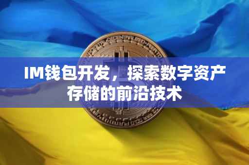 IM钱包开发，探索数字资产存储的前沿技术