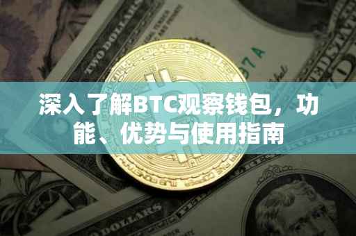 深入了解BTC观察钱包，功能、优势与使用指南