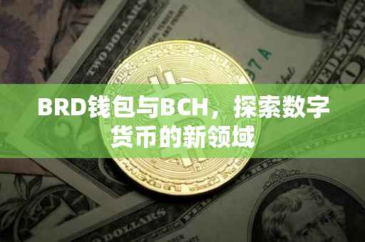 BRD钱包与BCH，探索数字货币的新领域