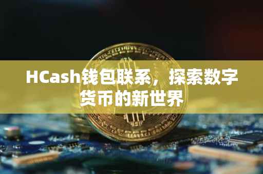 HCash钱包联系，探索数字货币的新世界