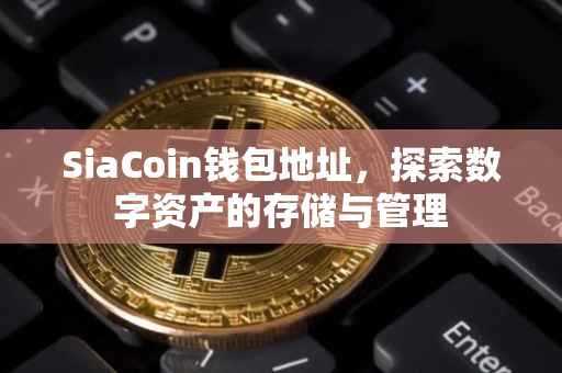 SiaCoin钱包地址，探索数字资产的存储与管理