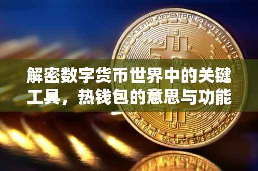解密数字货币世界中的关键工具，热钱包的意思与功能