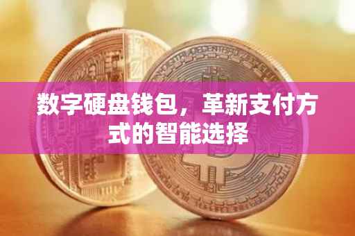 数字硬盘钱包，革新支付方式的智能选择