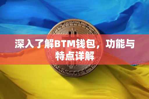 深入了解BTM钱包，功能与特点详解