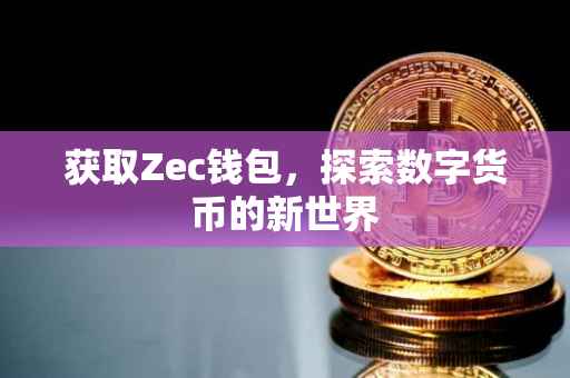 获取Zec钱包，探索数字货币的新世界