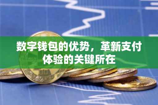 数字钱包的优势，革新支付体验的关键所在