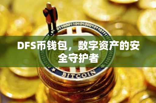 DFS币钱包，数字资产的安全守护者