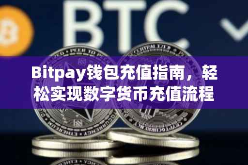 Bitpay钱包充值指南，轻松实现数字货币充值流程