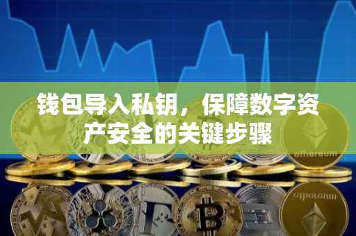 钱包导入私钥，保障数字资产安全的关键步骤