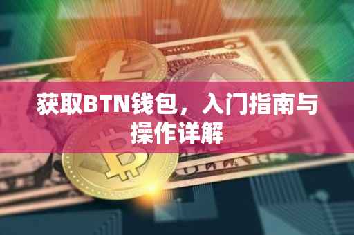 获取BTN钱包，入门指南与操作详解