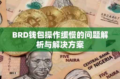 BRD钱包操作缓慢的问题解析与解决方案