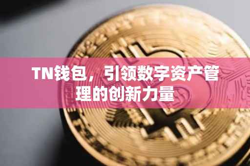 TN钱包，引领数字资产管理的创新力量