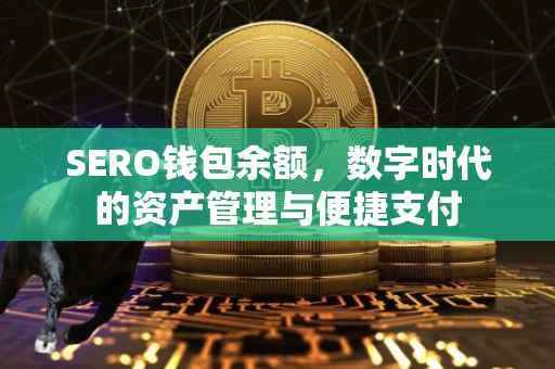 SERO钱包余额，数字时代的资产管理与便捷支付