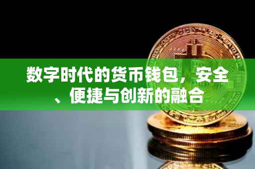 数字时代的货币钱包，安全、便捷与创新的融合