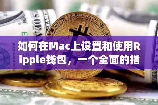 如何在Mac上设置和使用Ripple钱包，一个全面的指南