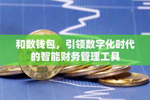 和数钱包，引领数字化时代的智能财务管理工具