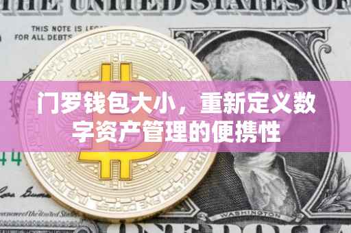 门罗钱包大小，重新定义数字资产管理的便携性
