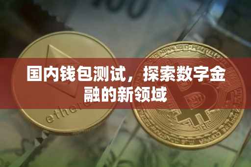 国内钱包测试，探索数字金融的新领域