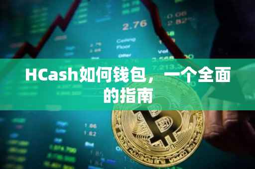 HCash如何钱包，一个全面的指南