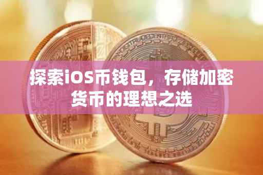 探索iOS币钱包，存储加密货币的理想之选