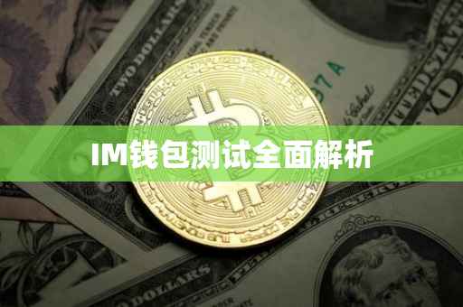 IM钱包测试全面解析