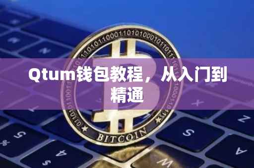 Qtum钱包教程，从入门到精通