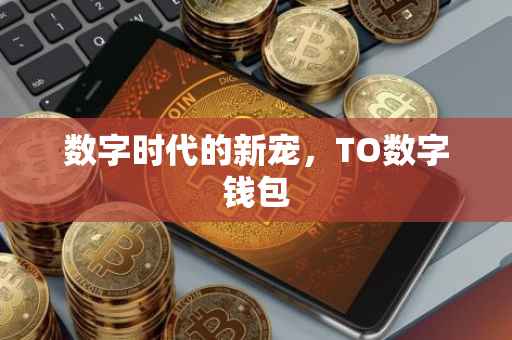 数字时代的新宠，TO数字钱包
