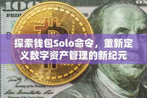 探索钱包Solo命令，重新定义数字资产管理的新纪元