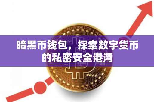暗黑币钱包，探索数字货币的私密安全港湾