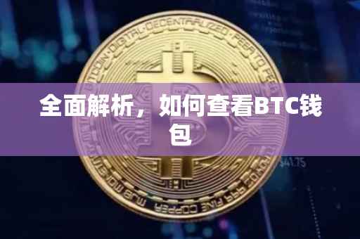 全面解析，如何查看BTC钱包