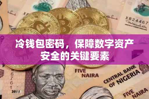 冷钱包密码，保障数字资产安全的关键要素