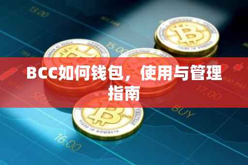 BCC如何钱包，使用与管理指南