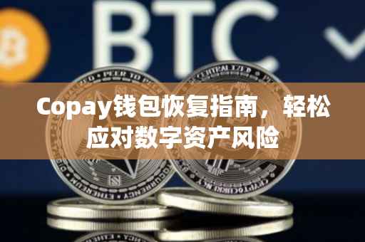 Copay钱包恢复指南，轻松应对数字资产风险
