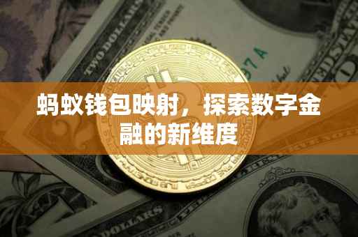 蚂蚁钱包映射，探索数字金融的新维度
