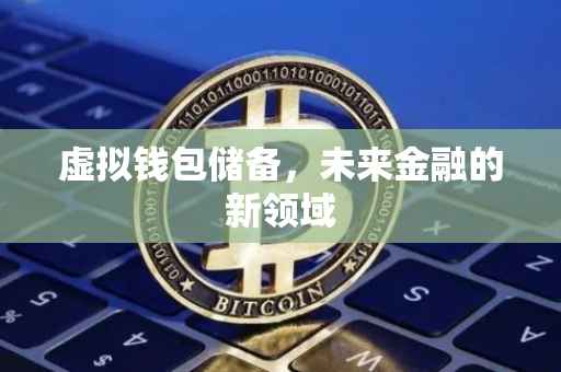 虚拟钱包储备，未来金融的新领域