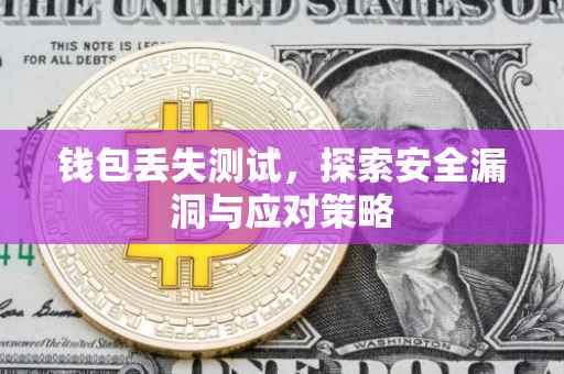 钱包丢失测试，探索安全漏洞与应对策略