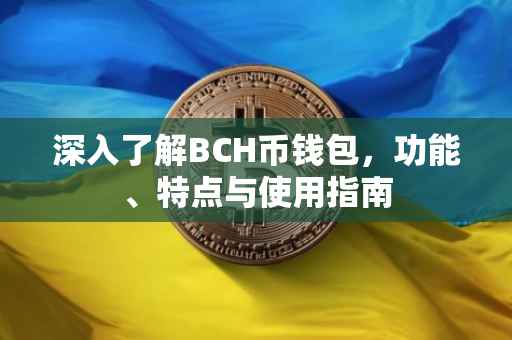 深入了解BCH币钱包，功能、特点与使用指南