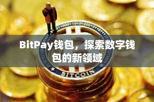 BitPay钱包，探索数字钱包的新领域