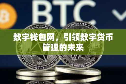 数字钱包网，引领数字货币管理的未来