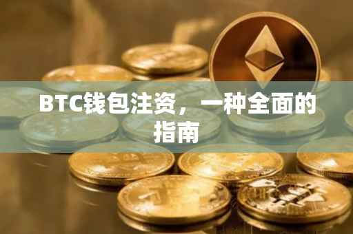 BTC钱包注资，一种全面的指南