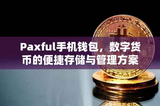 Paxful手机钱包，数字货币的便捷存储与管理方案
