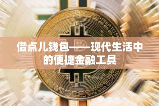 借点儿钱包——现代生活中的便捷金融工具