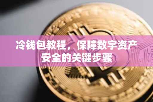 冷钱包教程，保障数字资产安全的关键步骤