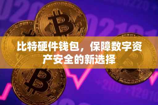 比特硬件钱包，保障数字资产安全的新选择