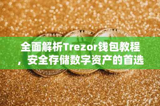 全面解析Trezor钱包教程，安全存储数字资产的首选