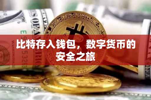 比特存入钱包，数字货币的安全之旅